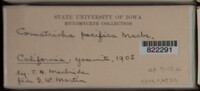 Image Associated With the Occurence